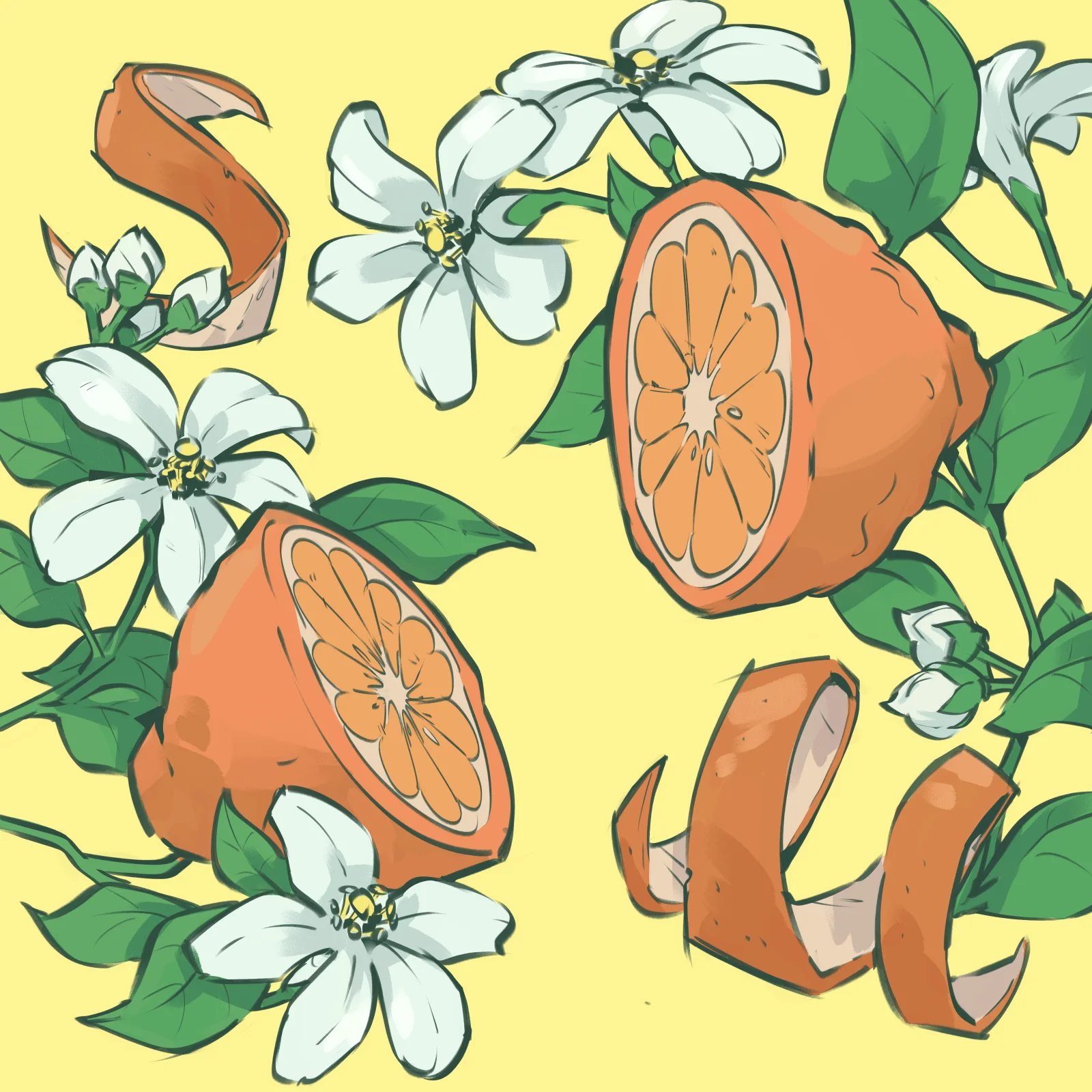Orange Pekoe Label Botanical illustration of orange blossoms, orange slices, and citrus peels on a warm yellow background