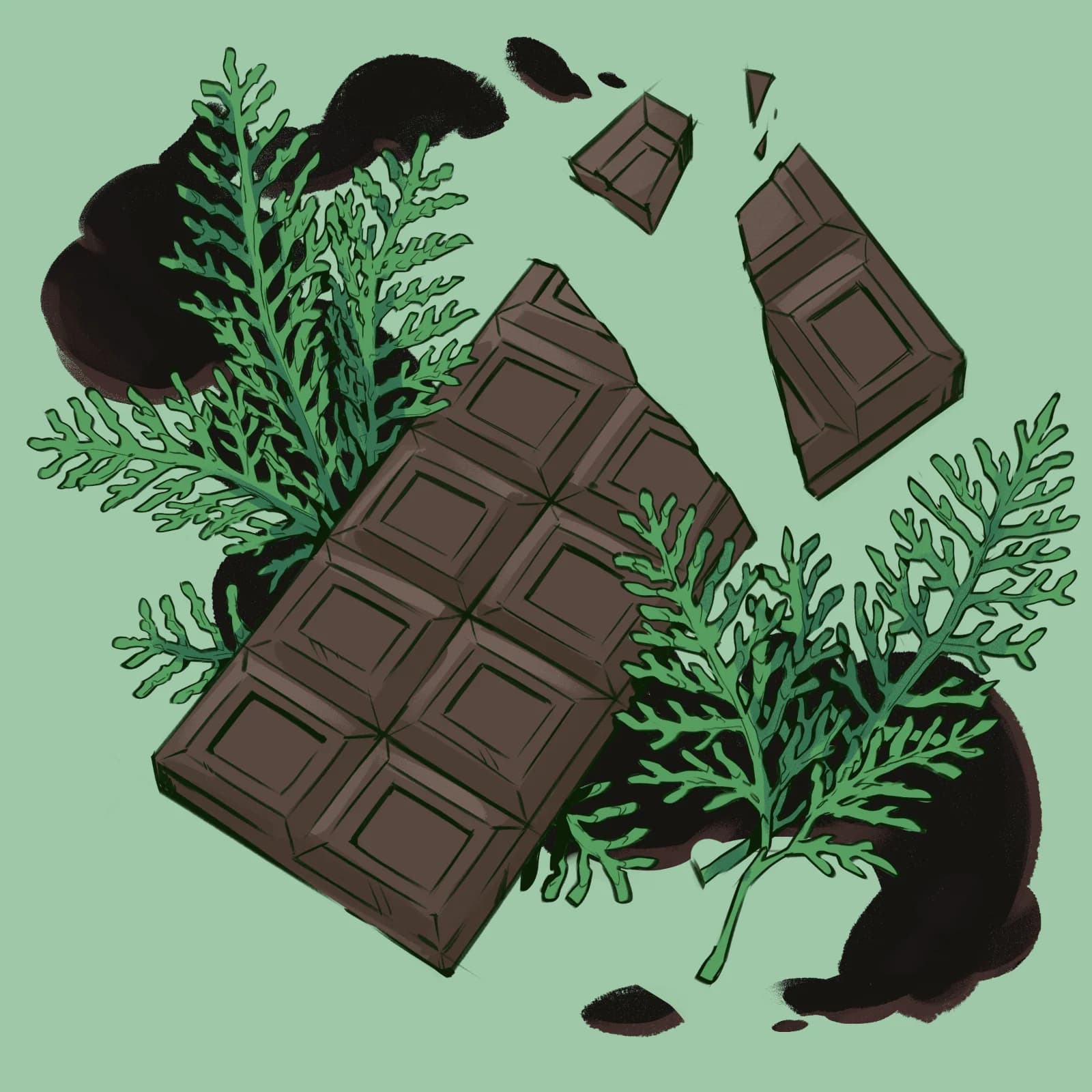 Black Summit Label Still life illustration of a broken dark chocolate bar surrounded by mint leaves on a green background